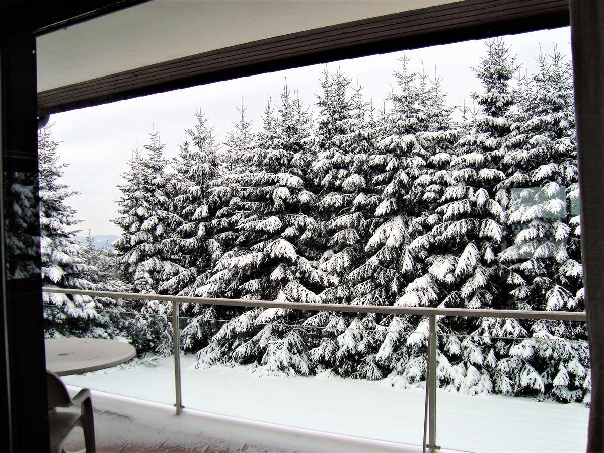 Ferienhaus Beja Winterberg Buitenkant foto